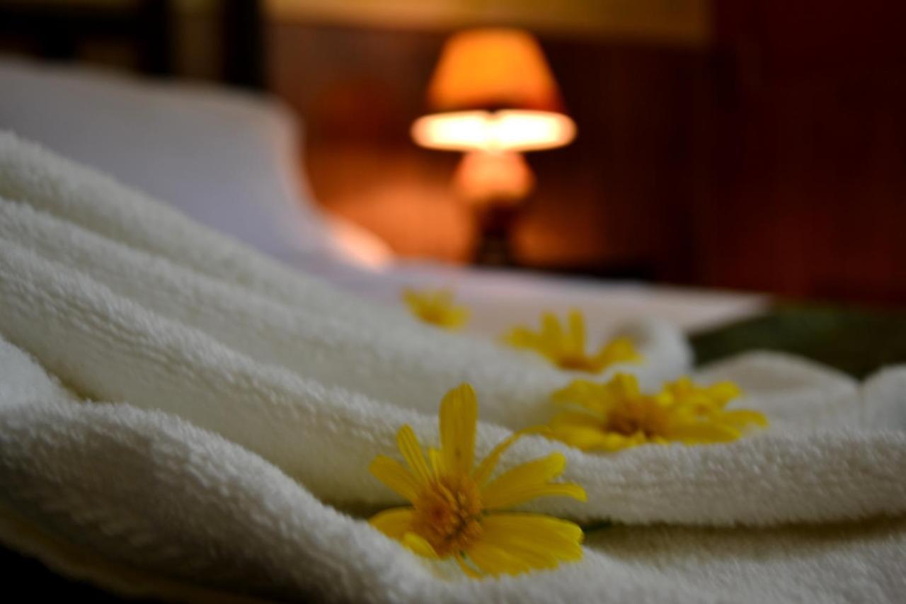 Hotel Casa Aura Cartago Eksteriør billede
